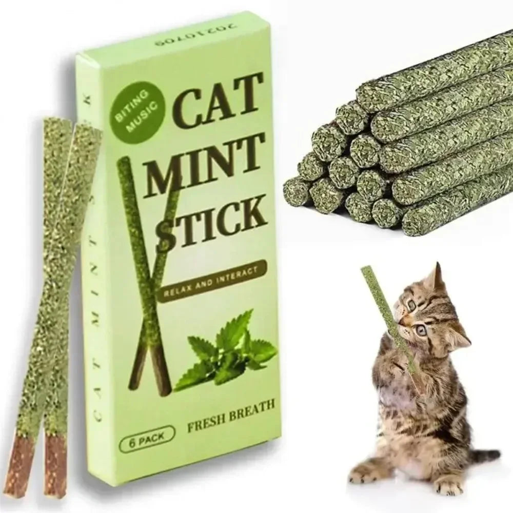 6-Pack Natural Matatabi (Silvervine) Cat Sticks with Mint – Teeth Cleaning Chew Toys for Cats