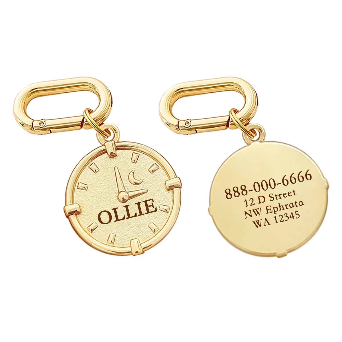 Personalized Pet ID Name Tag – Custom Engraved Anti-Lost Collar Tag for Dogs & Cats