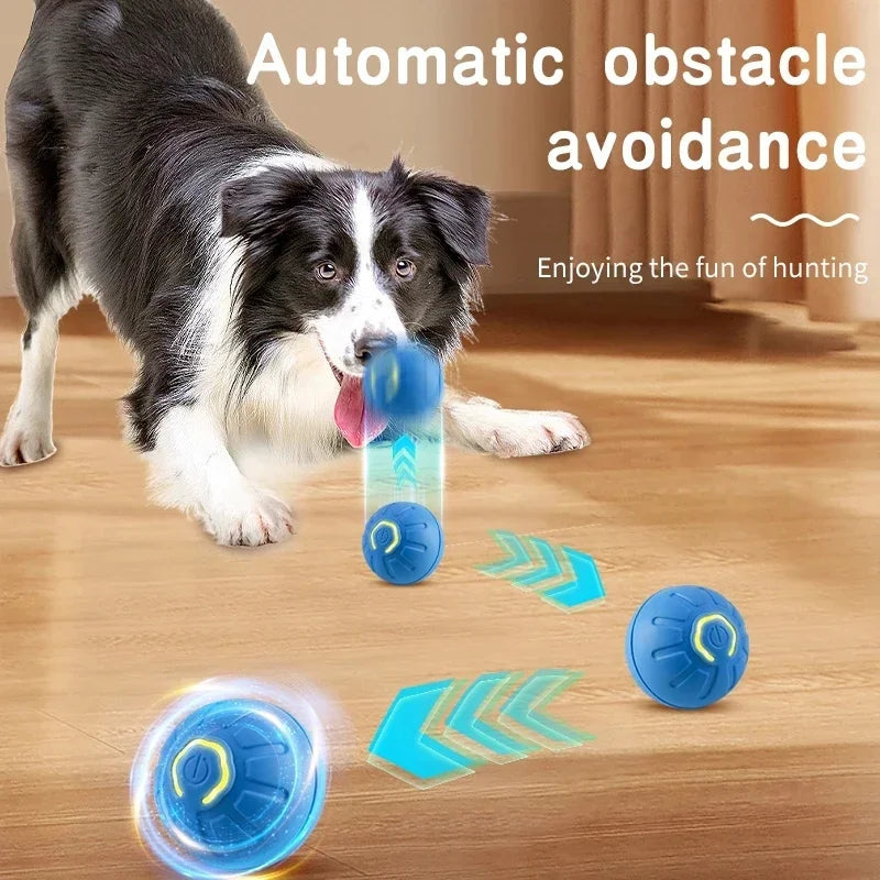Automatic Interactive Pet Ball USB Rechargeable Moving & Bouncing Toy for Dogs & Cats