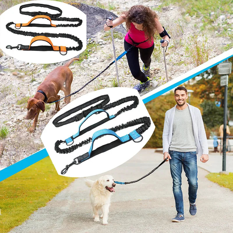 Double Elastic Reflective Hands-Free Running Dog Leash — Retractable Bungee Waist Lead 160–260 cm (63–102 in), Waist 70–120 cm (27–47 in)