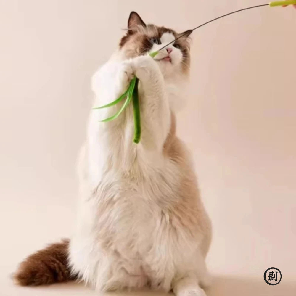 Interactive Feather Wand for Cats – 19.7 in (50 cm) Sage Tail Grass Teaser Stick, Bite-Resistant Sound Toy for Kittens