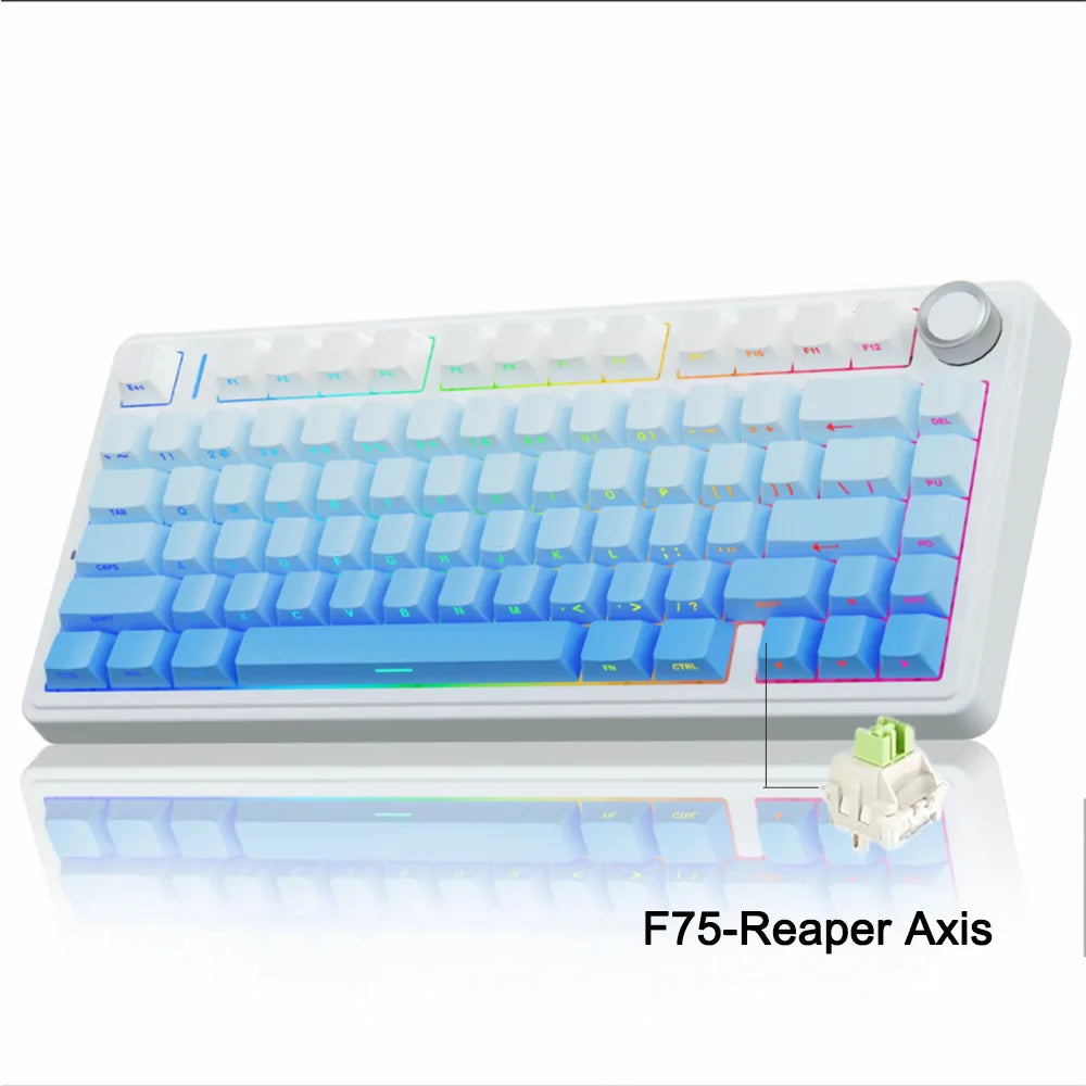 75% RGB Mechanical Gaming Keyboard — 78-Key Hot-Swappable Gasket Mount, 2.4G Wireless/Bluetooth/Wired, OEM Profile