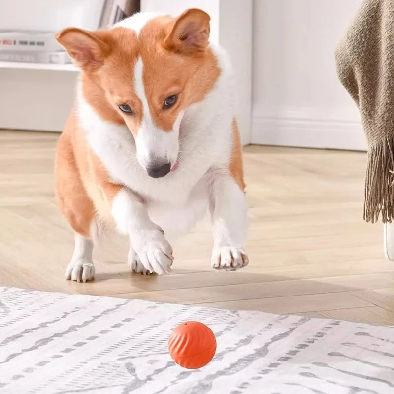 USB Rechargeable Jumping and Rotating Dog Ball - Interactive Chew Toy for Puppies