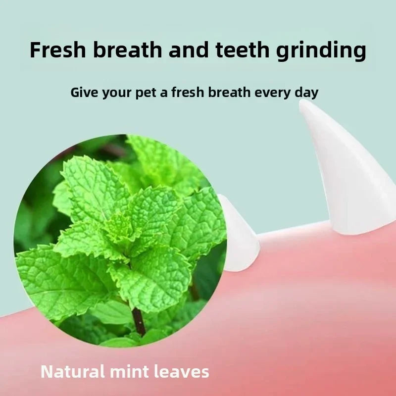 Catnip Ball Cat Toy – Bite-Resistant Self-Play Chew Toy for Kittens & Cats