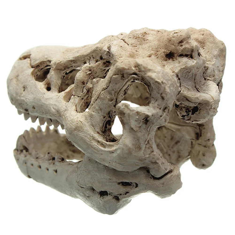 Resin Mini Dinosaur Fossil & Crocodile Skull Aquarium Ornament 3.34 x 2.16 x 1.77 in (8.5 x 5.5 x 4.5 cm)