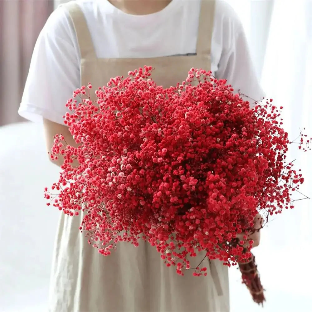 100g (3.5 oz) Dried Baby's Breath Gypsophila Bouquet - Preserved Boho Floral Home & Wedding Decor