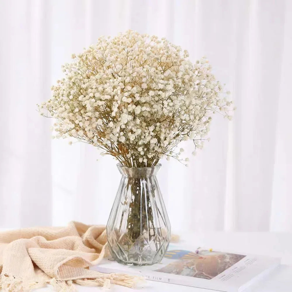 100g (3.5 oz) Dried Baby's Breath Gypsophila Bouquet - Preserved Boho Floral Home & Wedding Decor