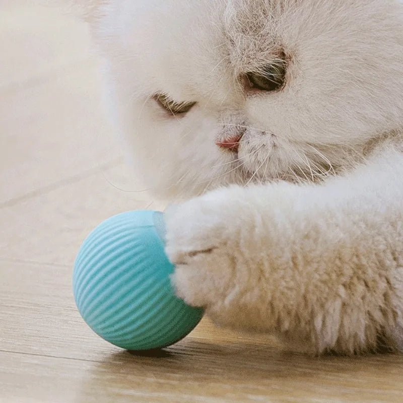 Interactive Automatic Rolling Cat Ball - USB-C Rechargeable Pet Toy, 1.7 in (4.3 cm) Indoor Electronic
