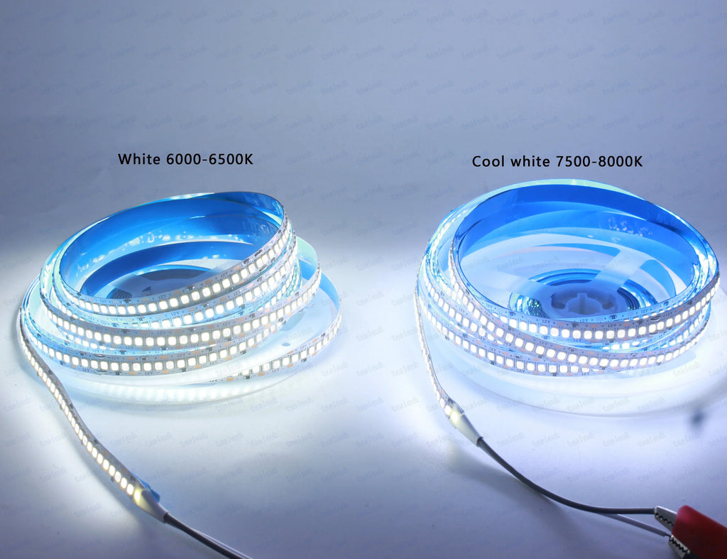 LED Strip Light 10mm PCB SMD2835 240 LEDs/m 1–5m (3.3–16.4 ft) DC12V/24V IP20 Non-Waterproof Flexible White/Warm White