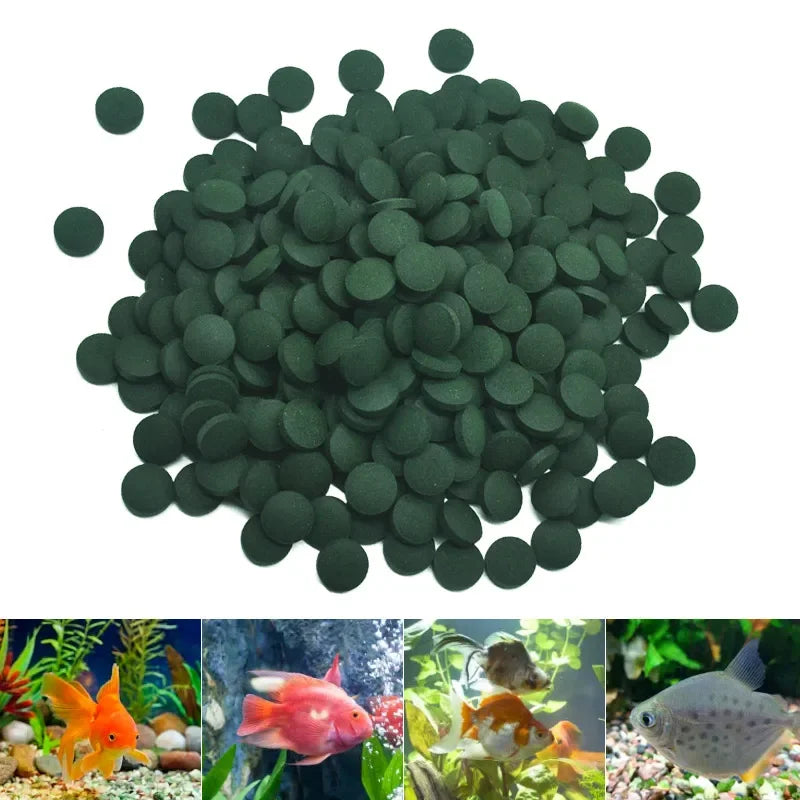 Spirulina Fish & Shrimp Food Tablets, Natural Algae Pellets — 50/100/300/500/1000 pcs Options