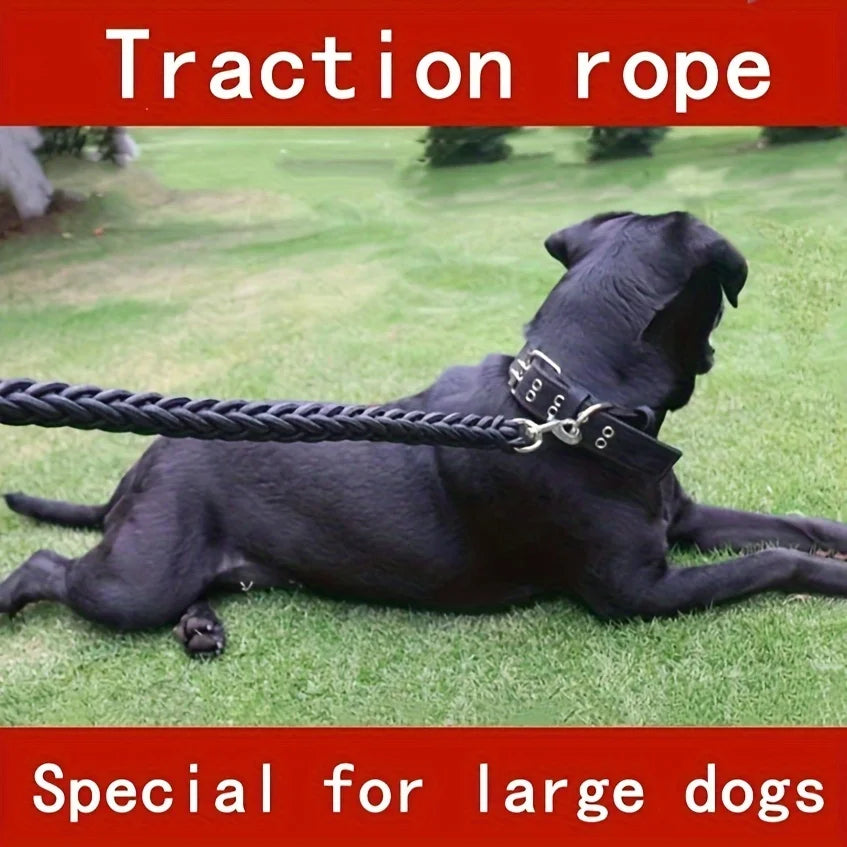 Braided 5 ft (1.5 m) Dog Leash - Durable Nylon with Padded Handle for Training & Comfortable Walks