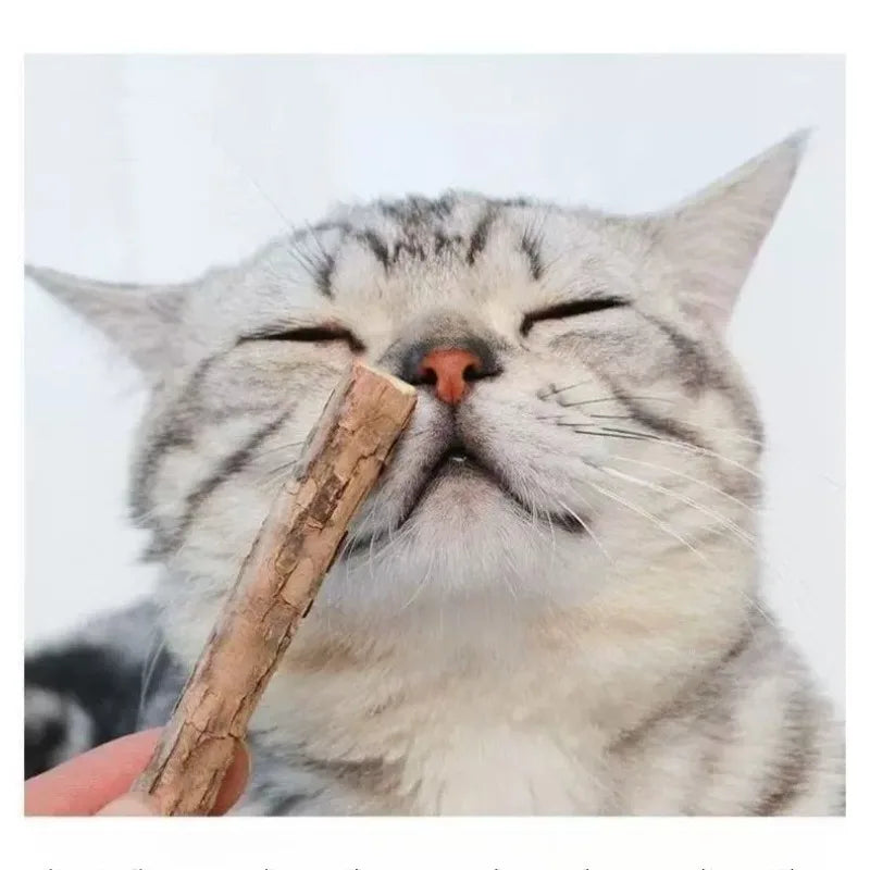 Natural Woodruff Cat Chew Sticks 20-Pack — Catnip-Like Dental Chew Toys for Kittens & Cats