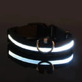LED Glow Dog Collar – Nylon Luminous Fluorescent Safety Collar with Flashing Lights