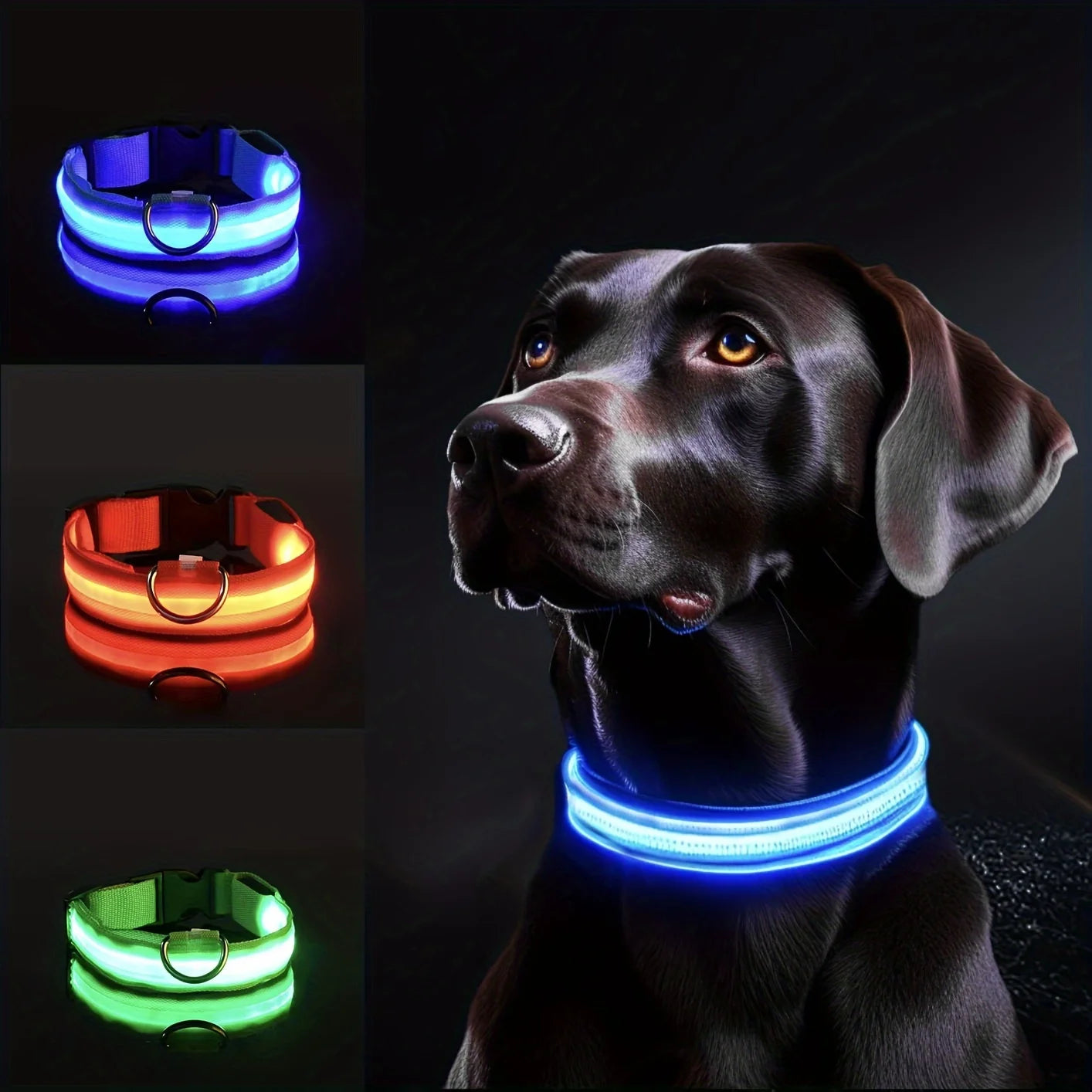 LED Glow-in-the-Dark Nylon Dog Collar & Leash — Flashing Luminous Safety Pet Collar