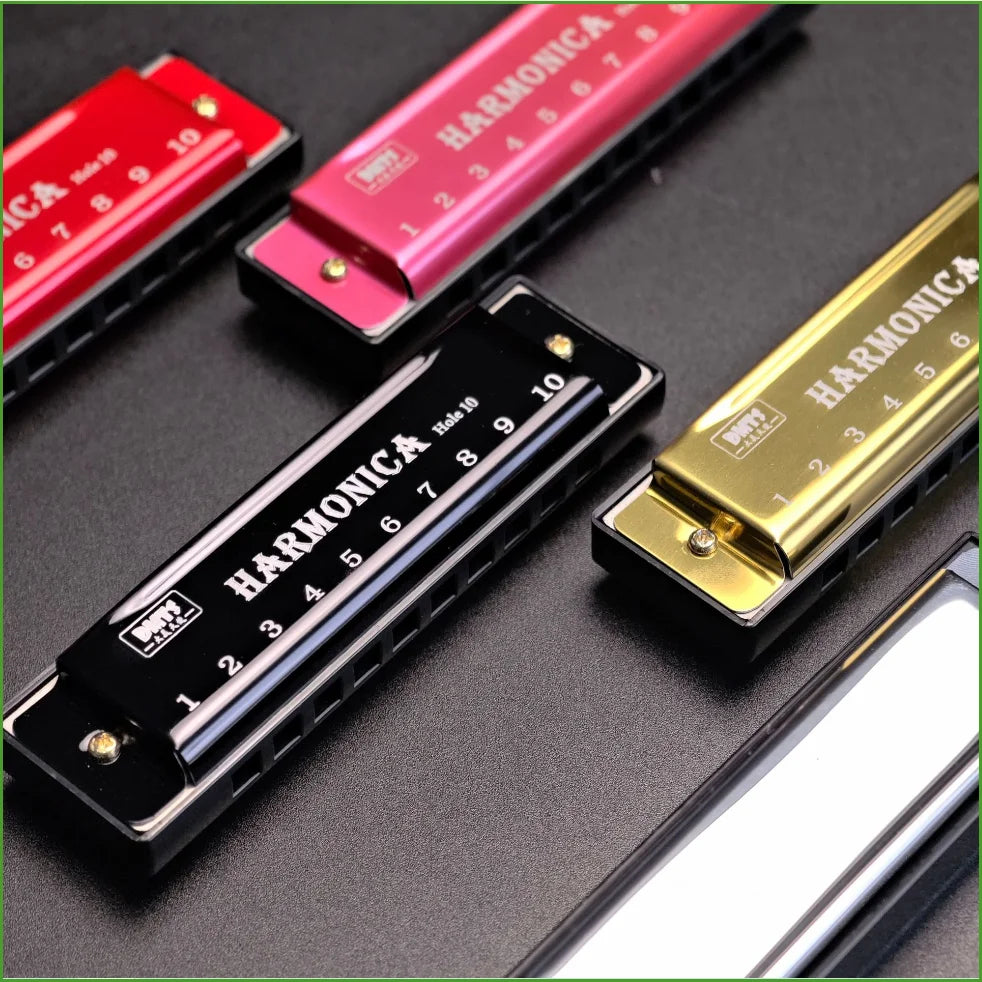 Diatonic Harmonica in C with Case – Kids Gift