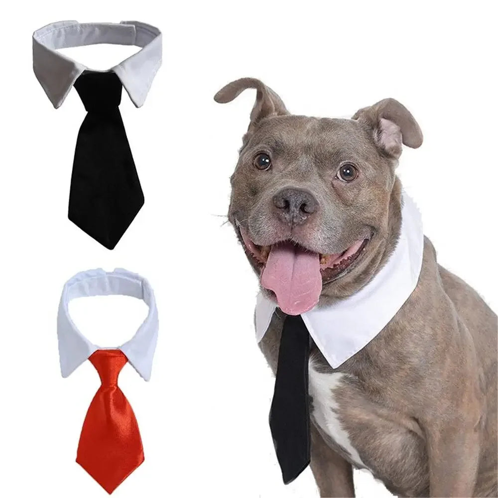 Adjustable Pet Necktie Bow Tie Collar - Formal Tuxedo Accessory for Dogs & Cats, Black & Red, Small & Large (9–14 in | 24–36 cm)