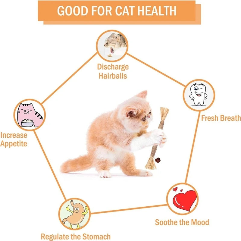 Natural Silvervine (Matatabi) Cat Chew Sticks - Dental Catnip Toy, 8.7 in (22 cm), 1/2/5 Pack