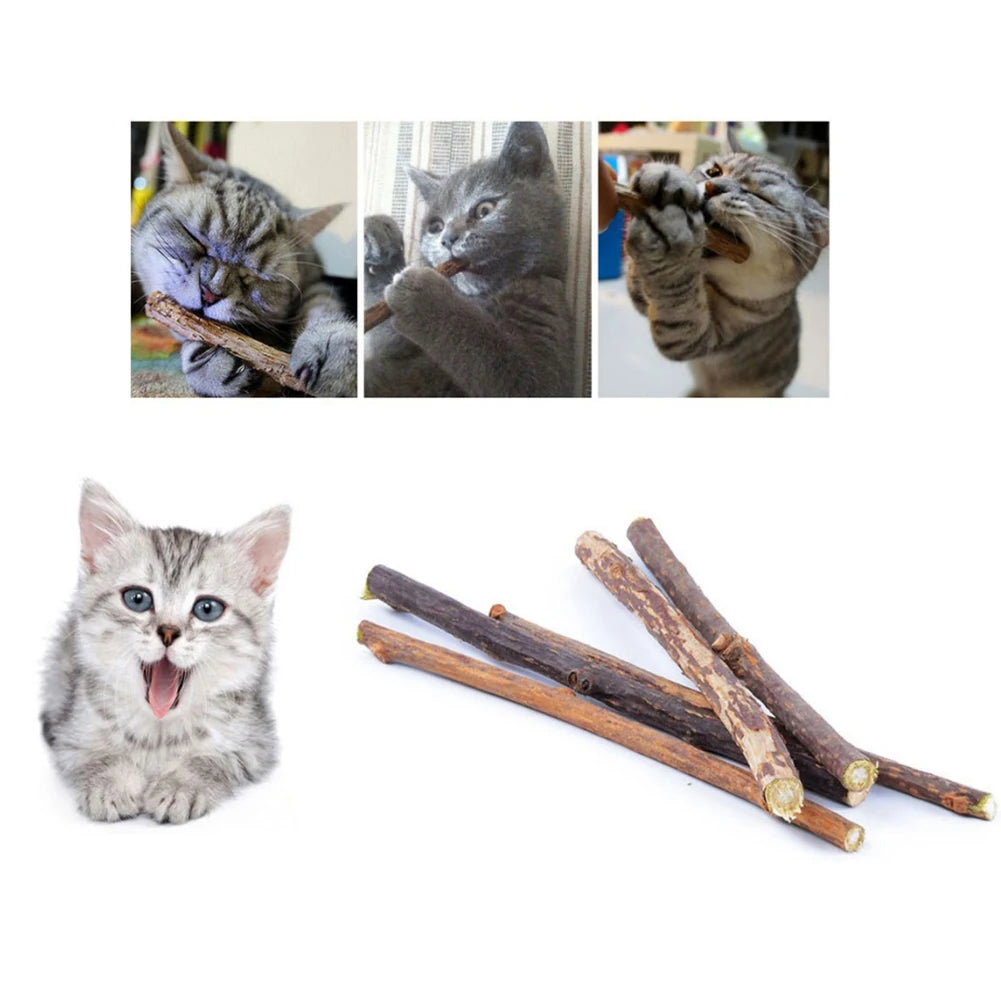 Silvervine Chew Sticks for Cats — Natural Catnip Alternative Dental & Molar Chew Toys for Cats & Kittens (10/15/20-Pack)
