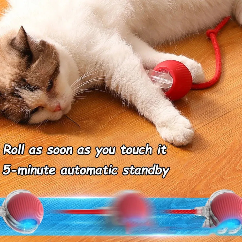 Interactive Rechargeable Rolling Cat Ball with Faux Tail – Automatic Smart Pet Toy for Cats & Small Dogs
