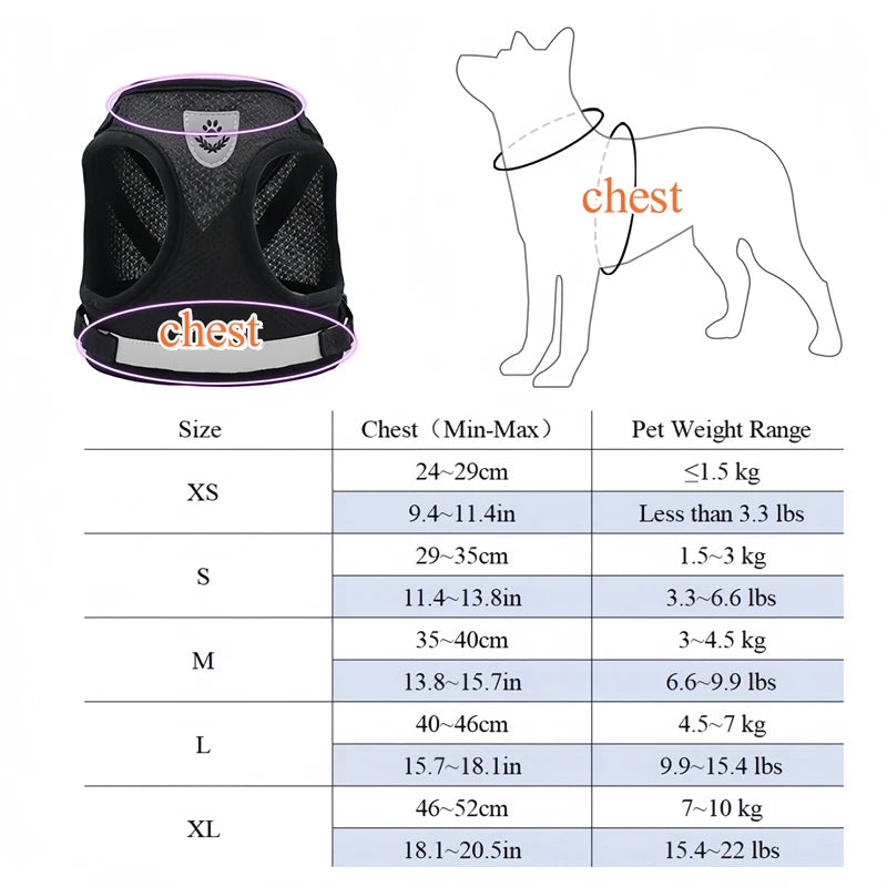 Adjustable Pet Harness & Leash Set – Vest Walking Lead for Dogs & Cats (Puppy & Kitten)