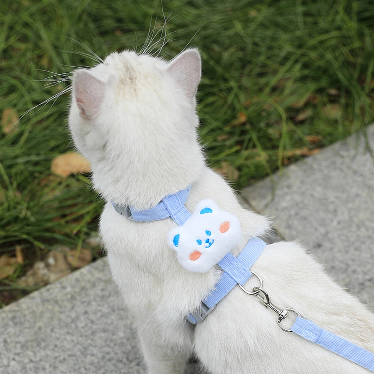 Adjustable Breathable Cat & Small Dog Harness with 120 cm (47 in) Leash, Escape-Proof Chest Strap S/M