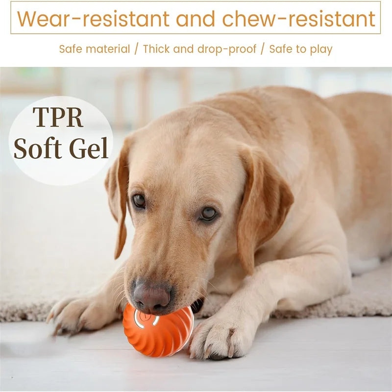 Automatic Interactive Pet Ball USB Rechargeable Moving & Bouncing Toy for Dogs & Cats