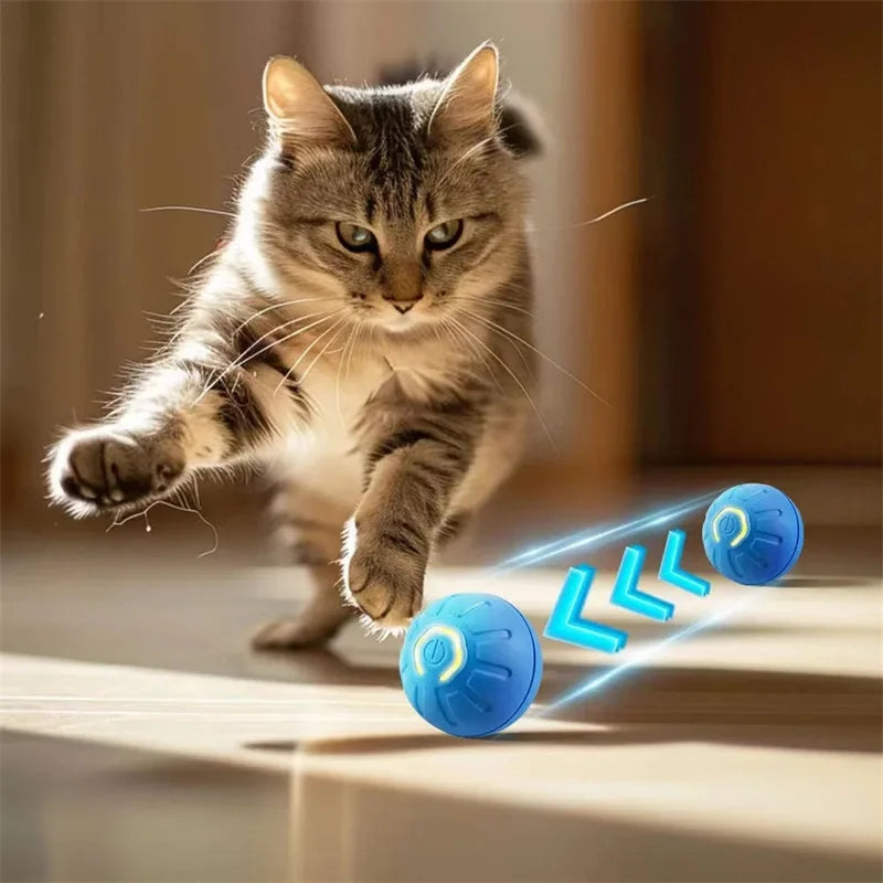 Automatic Interactive Pet Ball USB Rechargeable Moving & Bouncing Toy for Dogs & Cats