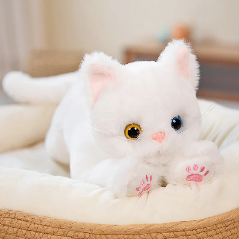53 cm (21 in) Realistic Cat Plush Pillow – White & Gray Kitten Stuffed Animal Gift for Kids & Room Decor