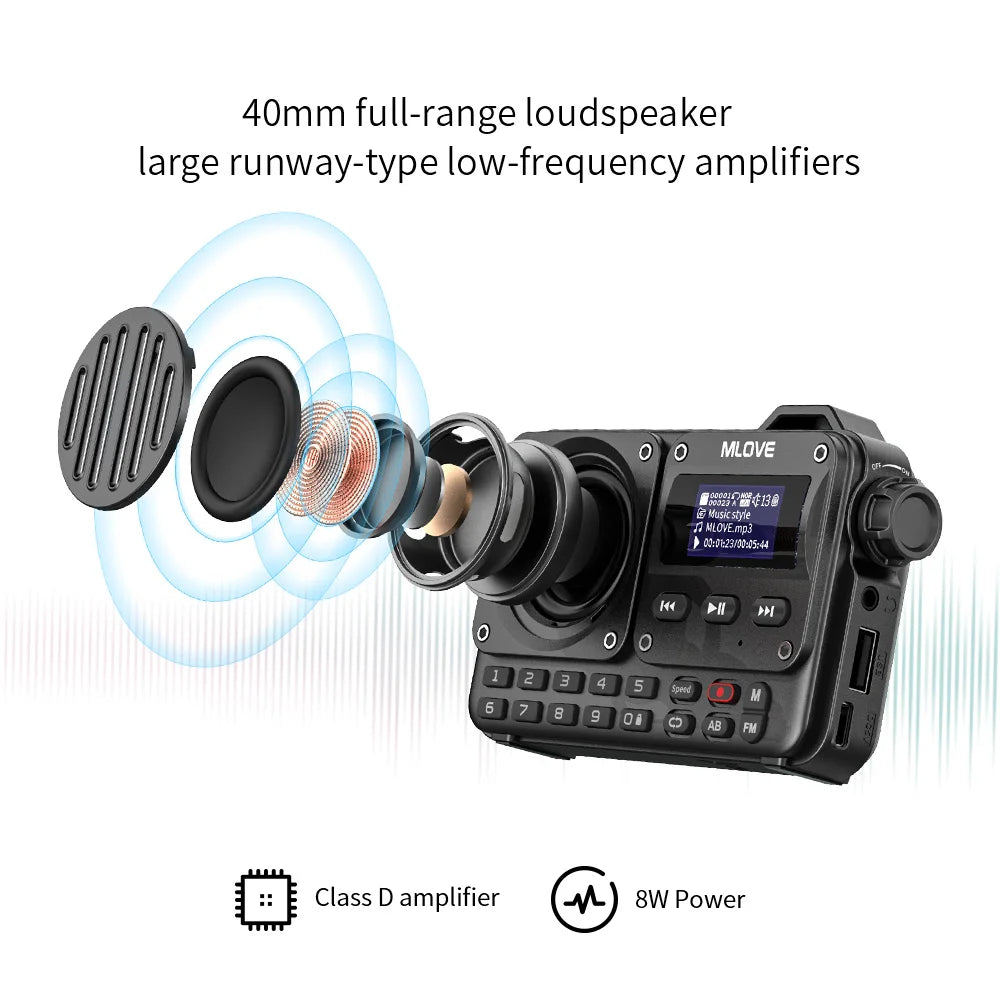 Portable Bluetooth Speaker with FM Radio, LCD Display, AUX, USB & MicroSD Playback — 8W, 20‑Hour Battery
