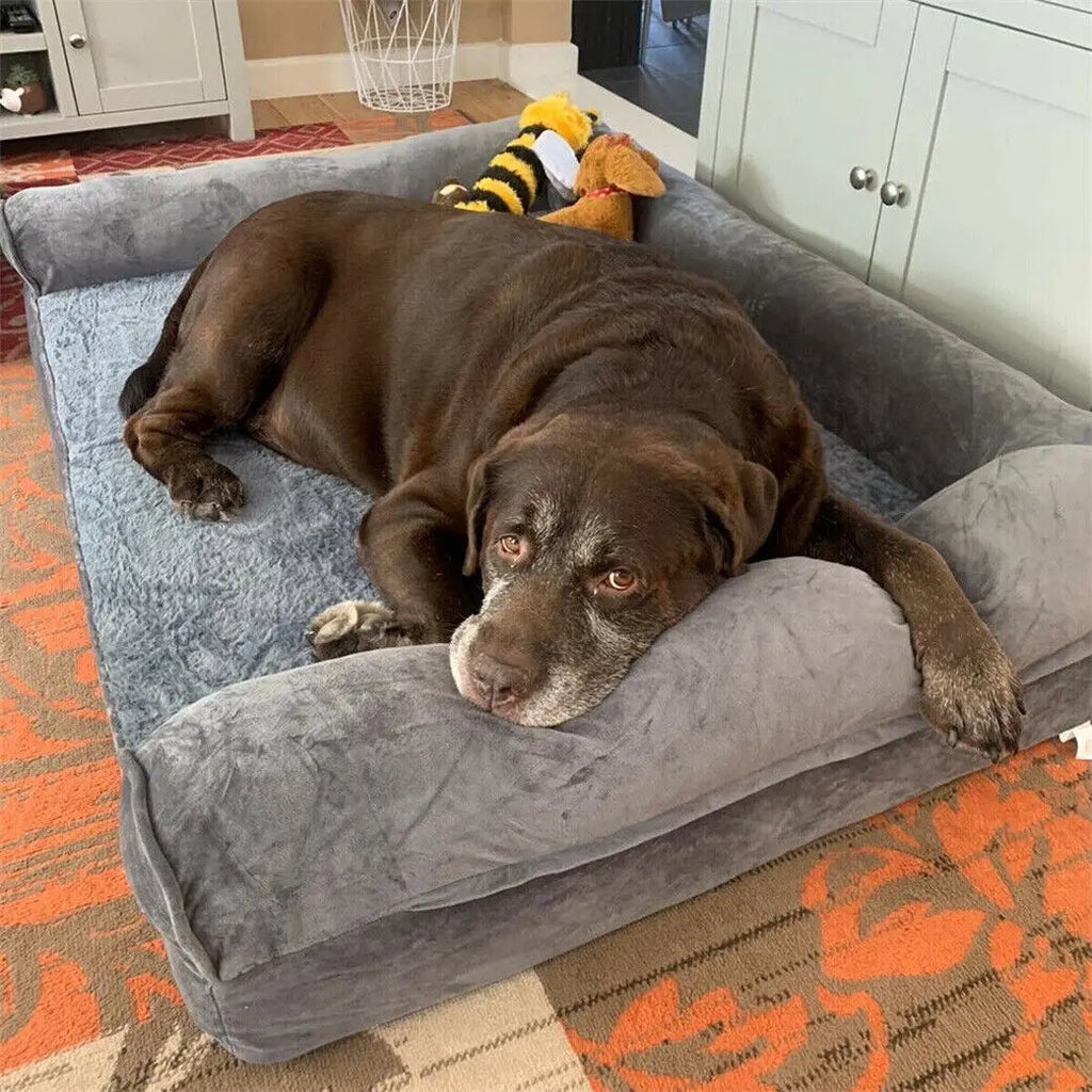 Orthopedic Dog Bed – Foam Pet Mattress Sofa with Bolster, Removable Washable Cover, Waterproof Liner (Sizes M-L-XL-2XL)