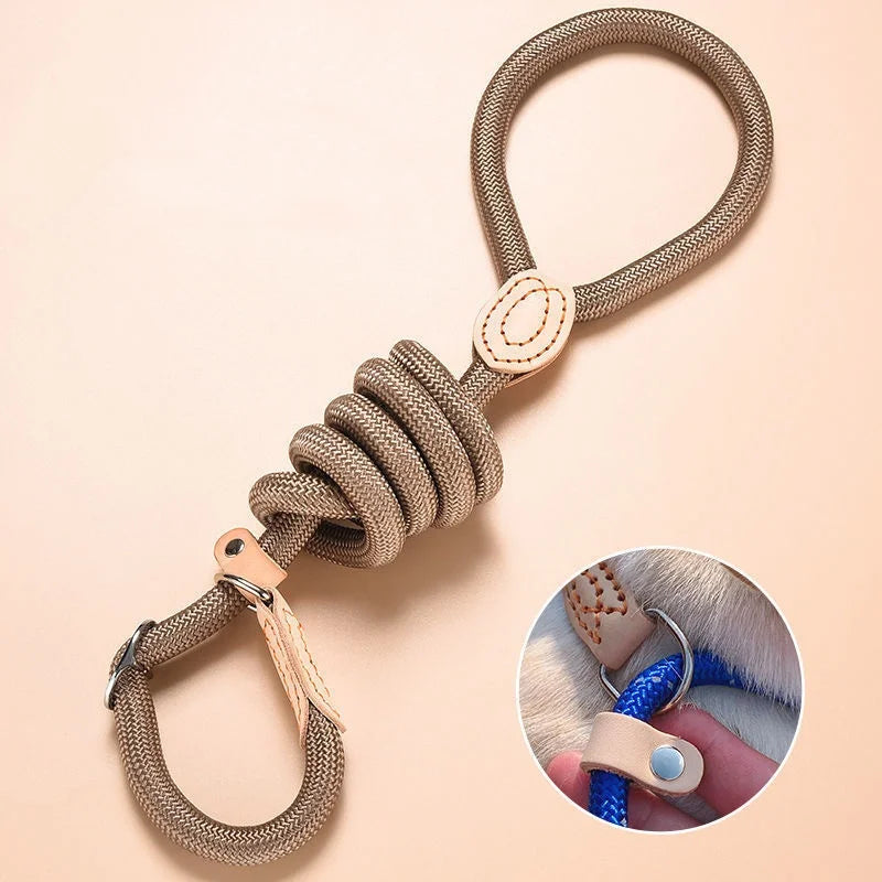 Personalized Nylon Dog Leash with Quick-Release Clip, Adjustable Loop Collar for Small to Medium Dogs