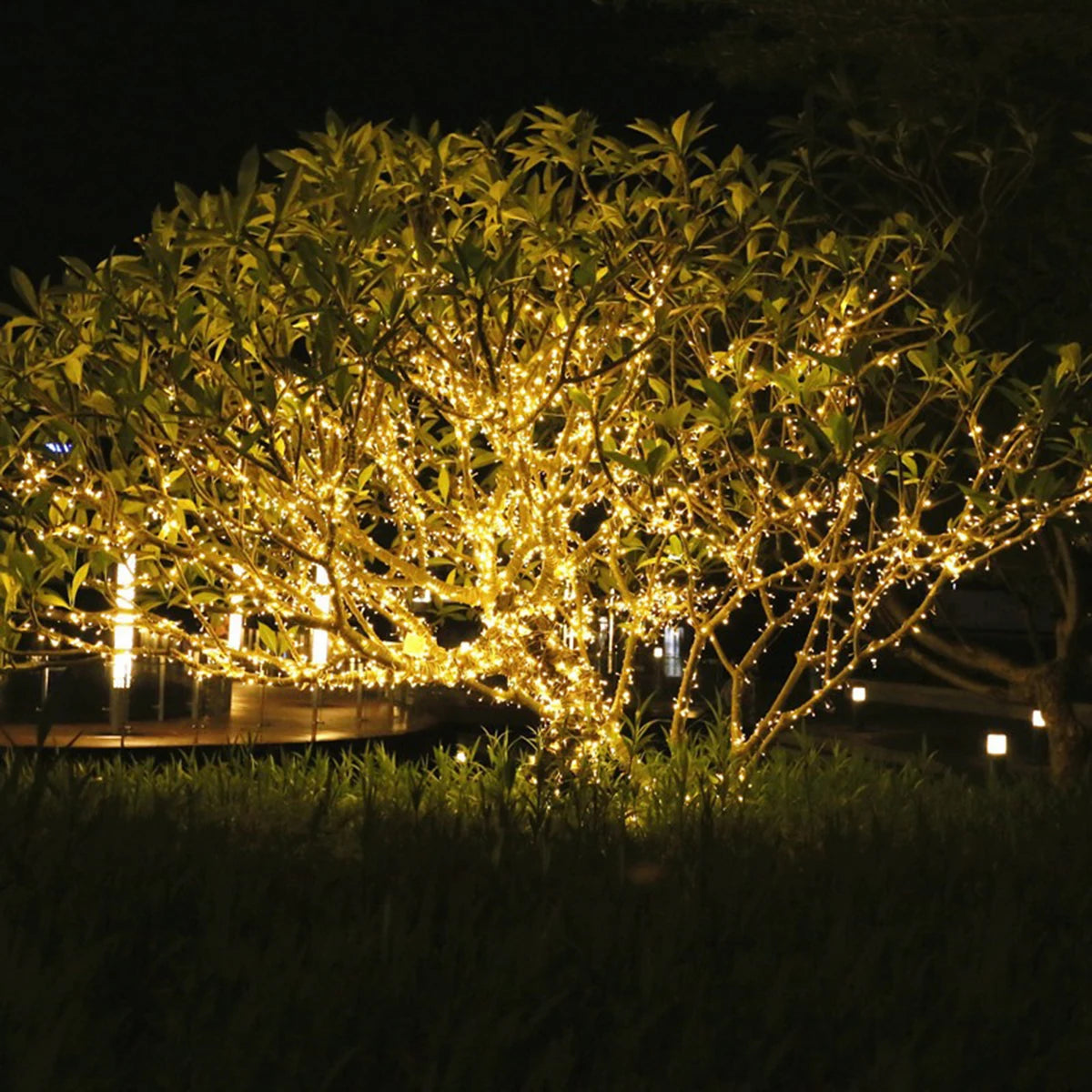 100m (328 ft) LED Fairy String Lights — 800 LEDs Warm White Garland for Home, Party & Garden Decoration