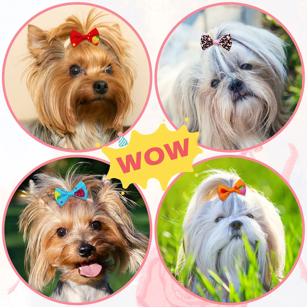 30-Pack Dog & Cat Hair Bows with Elastic Bands - Handmade Movable Puppy Bows, Cute Pet Hair Accessories