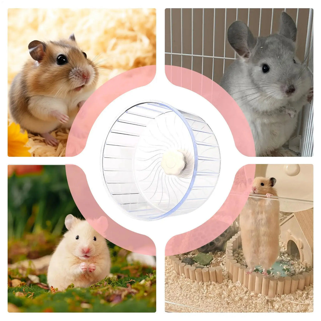 Quiet Double-Bearing Hamster Exercise Wheel 5.5 in (14 cm), Running Wheel for Hamsters Mice Gerbils