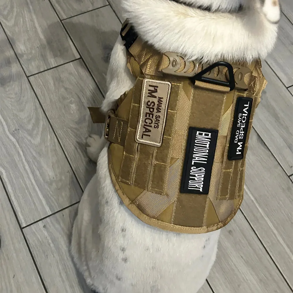1-Pack Removable Embroidered Service Dog Patch – Tactical ID Patch for Harness, Vest & Leash (Fits Dogs & Cats)