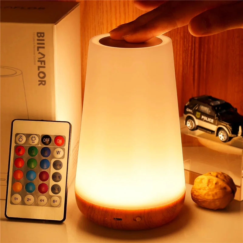 Rechargeable Smart LED Night Light 13 Colors 5 Brightness Levels Touch & Remote USB Bedside Lamp