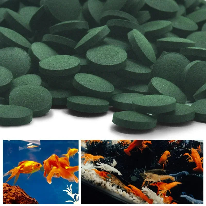 100-Pack Spirulina Tablets Fish & Shrimp Food – Nutrient-Rich Algae Pellets for Aquarium Fish, Crystal Red Shrimp