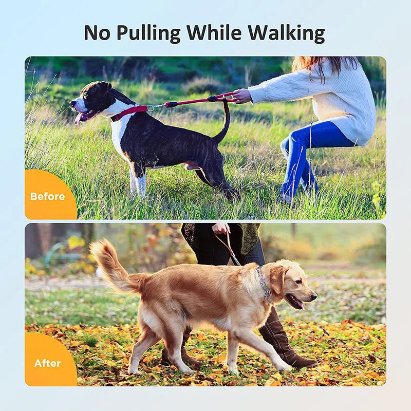 Stainless Steel Pinch Dog Training Collar with Padded Links for Dogs