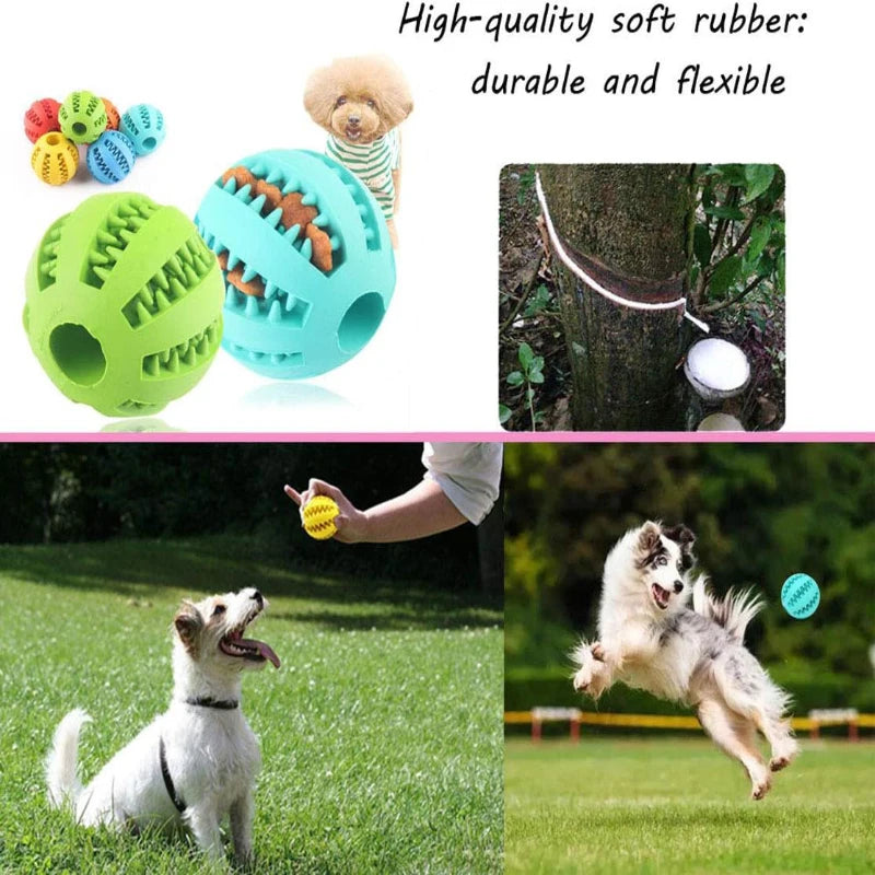 Interactive Rubber Chew Ball for Dogs & Cats — Treat Dispenser & Tooth-Cleaning Puppy Toy (5 cm / 2 in & 7 cm / 2.8 in)