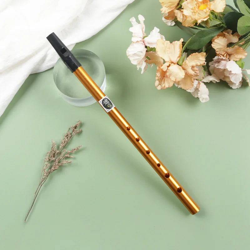 Tin Penny Whistle (C/D Key) 6-Hole Irish Whistle Flute, Alloy & ABS, Includes Music Book and Pouch