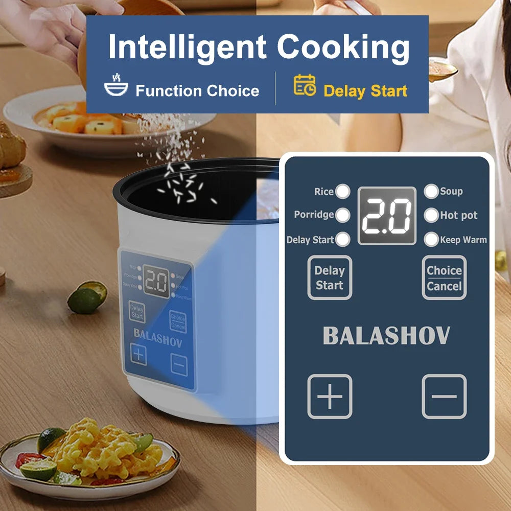 Mini Electric Rice Cooker 1-2 Person Double Layer Non-Stick Steamer Multi Cooker 600W