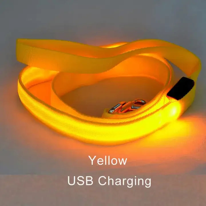 LED Light-Up Dog Leash 47.2 in (120 cm) Luminous Rope Safety Lead for Night Walks