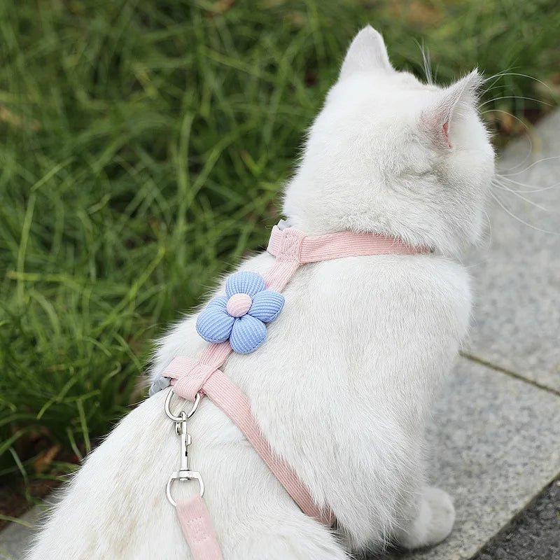 Adjustable Breathable Cat & Small Dog Harness with 120 cm (47 in) Leash, Escape-Proof Chest Strap S/M