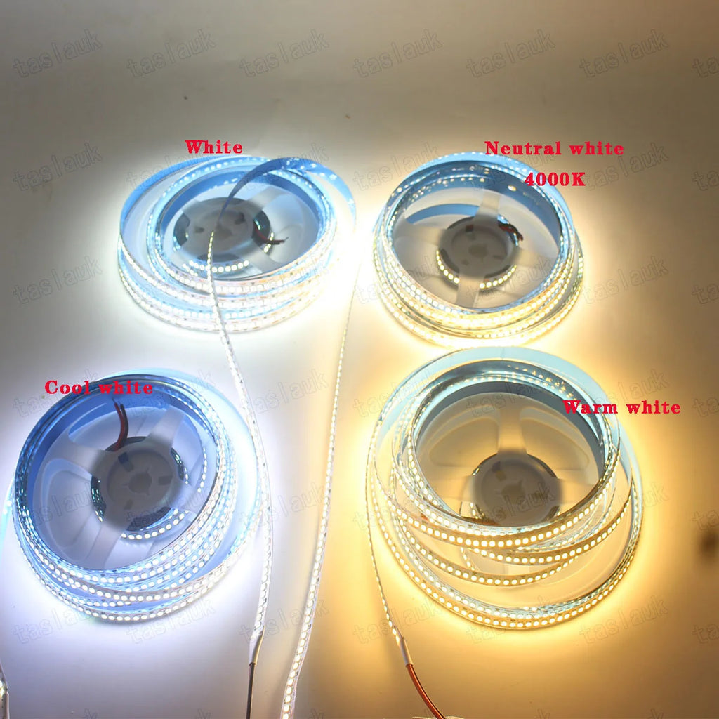 LED Strip Light 10mm PCB SMD2835 240 LEDs/m 1–5m (3.3–16.4 ft) DC12V/24V IP20 Non-Waterproof Flexible White/Warm White