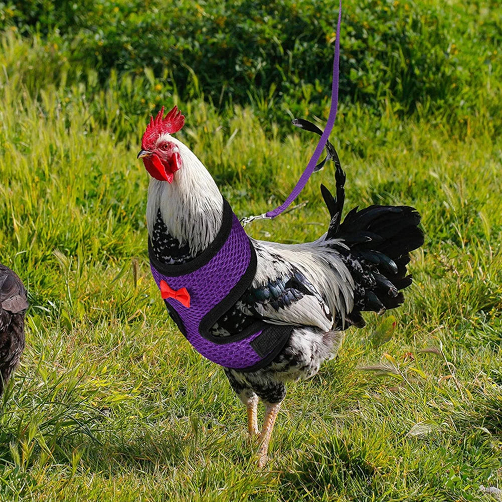 Adjustable Mesh Chicken and Duck Harness Vest with Leash Breathable Poultry Harness XS-XL