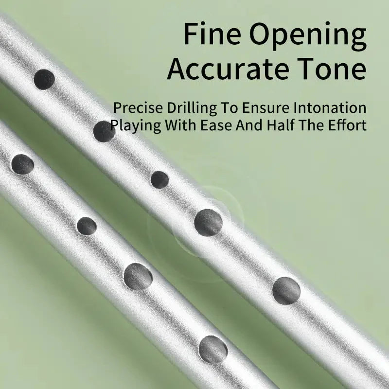 Tin Penny Whistle (C/D Key) 6-Hole Irish Whistle Flute, Alloy & ABS, Includes Music Book and Pouch