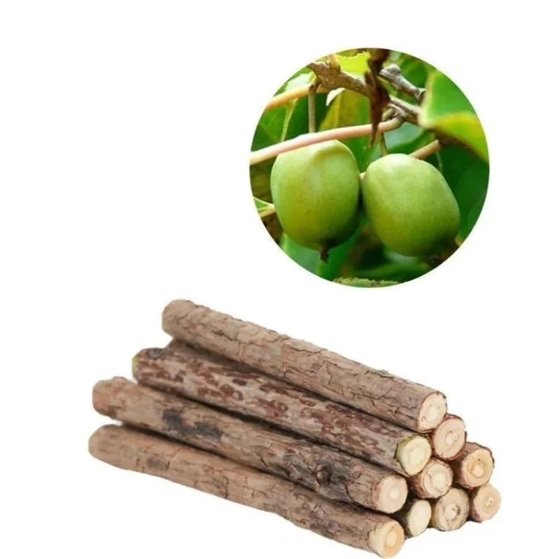 Natural Woodruff Cat Chew Sticks 20-Pack – Dental Molar Chews for Cats & Kittens