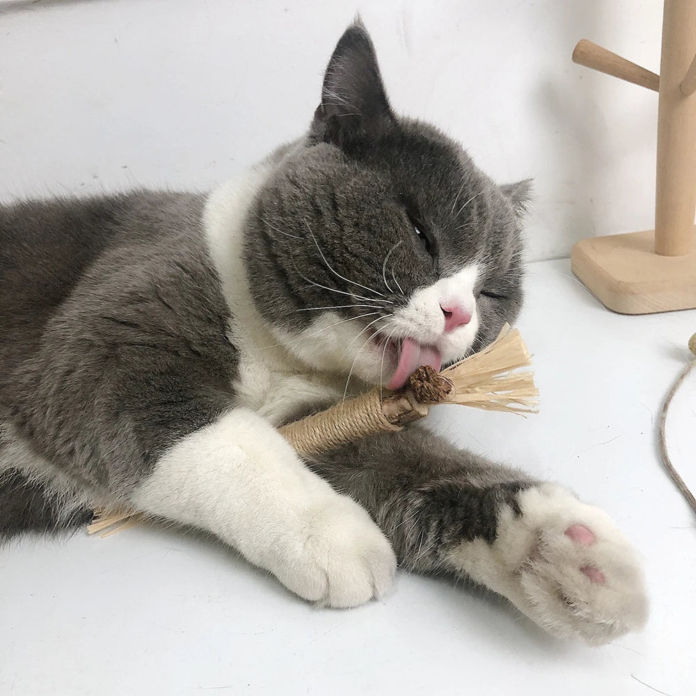 Natural Silvervine (Matatabi) Cat Chew Sticks - Dental Catnip Toy, 8.7 in (22 cm), 1/2/5 Pack