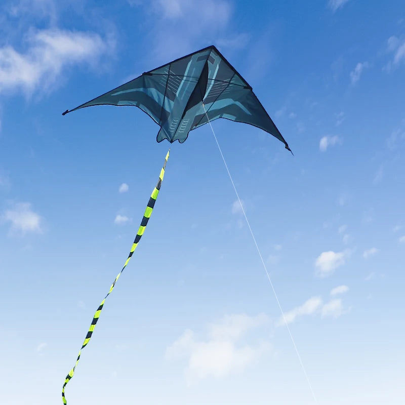 2m Delta Aircraft Kite – Large Beach & Camping Kite with 500cm (16.4 ft) Tail and 100M (328 ft) Line — Easy-Fly Foldable Kite for Adults & Teens
