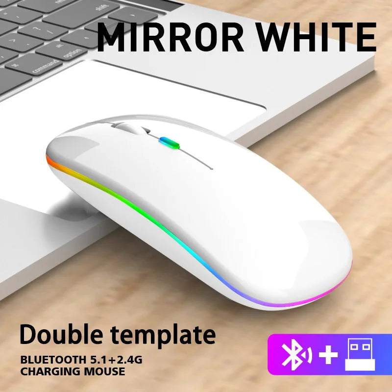 Rechargeable Bluetooth & 2.4GHz Wireless Mouse — Silent Click, RGB, Ergonomic, USB-C Charging for PC Mac iPad Laptop Phone TV